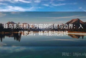 蜂鸟影院相关内容的同意与边界：入门要点，蜂鸟影院网络