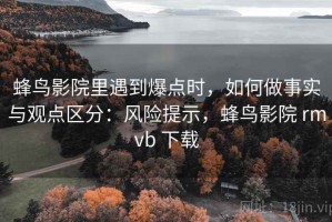 蜂鸟影院里遇到爆点时，如何做事实与观点区分：风险提示，蜂鸟影院 rmvb 下载