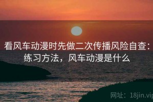 看风车动漫时先做二次传播风险自查：练习方法，风车动漫是什么
