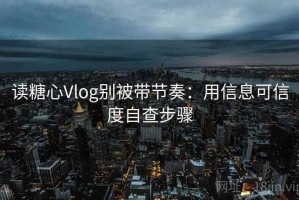 读糖心Vlog别被带节奏：用信息可信度自查步骤
