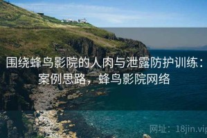 围绕蜂鸟影院的人肉与泄露防护训练：案例思路，蜂鸟影院网络