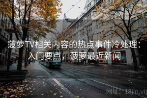 菠萝TV相关内容的热点事件冷处理：入门要点，菠萝最近新闻