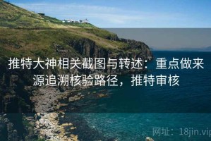 推特大神相关截图与转述：重点做来源追溯核验路径，推特审核