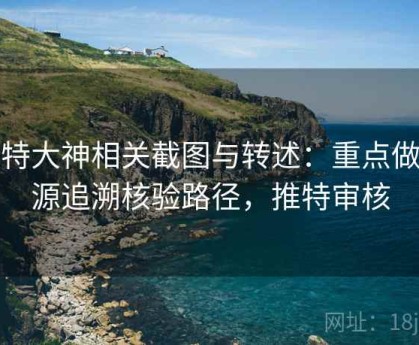 推特大神相关截图与转述：重点做来源追溯核验路径，推特审核