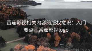 番茄影视相关内容的版权意识：入门要点，番茄影视logo