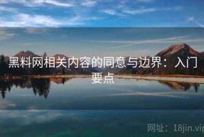 黑料网相关内容的同意与边界：入门要点