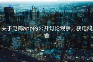 关于电鸽app的公开讨论观察，获电鸽舍