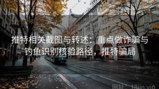 推特相关截图与转述：重点做诈骗与钓鱼识别核验路径，推特骗局