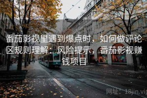 番茄影视里遇到爆点时，如何做评论区规则理解：风险提示，番茄影视赚钱项目