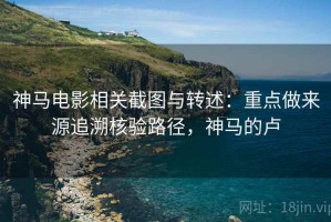 神马电影相关截图与转述：重点做来源追溯核验路径，神马的卢