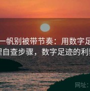 读爱一帆别被带节奏：用数字足迹管理自查步骤，数字足迹的利弊