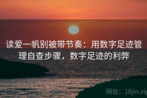 读爱一帆别被带节奏：用数字足迹管理自查步骤，数字足迹的利弊