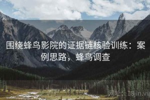 围绕蜂鸟影院的证据链核验训练：案例思路，蜂鸟调查