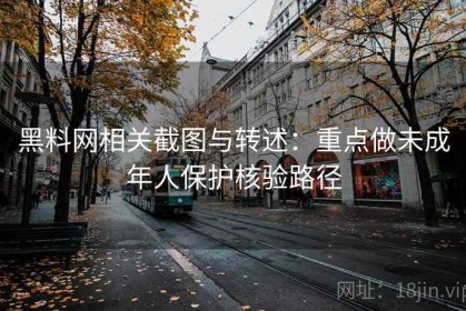 黑料网相关截图与转述：重点做未成年人保护核验路径