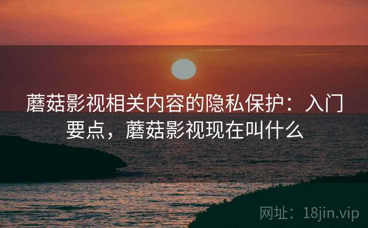 蘑菇影视相关内容的隐私保护：入门要点，蘑菇影视现在叫什么