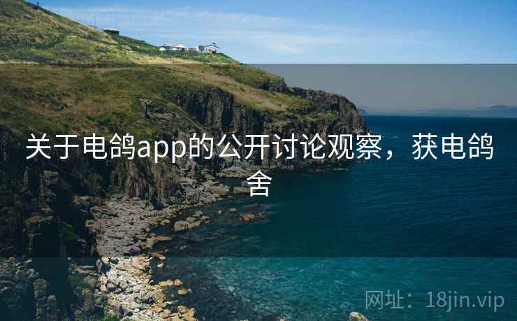 关于电鸽app的公开讨论观察，获电鸽舍