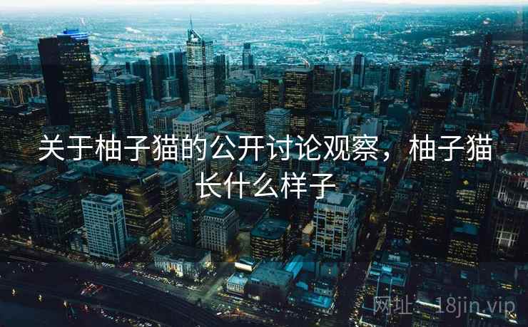 关于柚子猫的公开讨论观察，柚子猫长什么样子