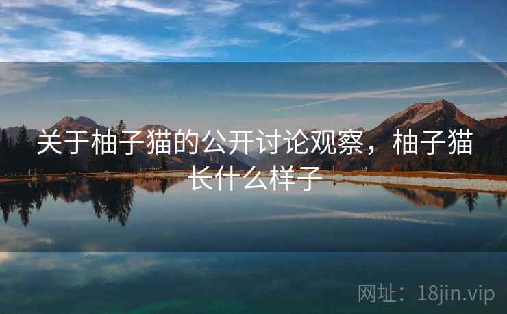 关于柚子猫的公开讨论观察，柚子猫长什么样子