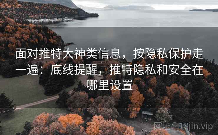 面对推特大神类信息,按隐私保护走一遍:底线提醒,推特隐私和安全在哪里设置 面对推特大神类信息,按隐私保护走一遍:底线提醒,推特隐私和安全在哪里设置