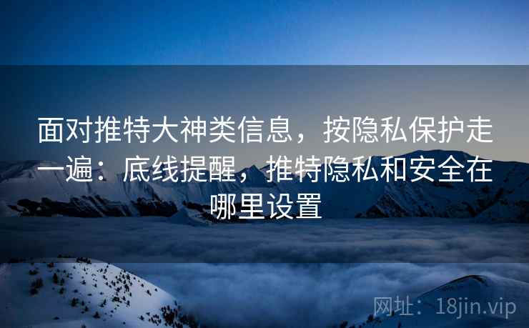 面对推特大神类信息,按隐私保护走一遍:底线提醒,推特隐私和安全在哪里设置 面对推特大神类信息,按隐私保护走一遍:底线提醒,推特隐私和安全在哪里设置
