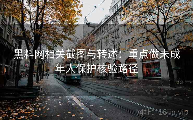 黑料网相关截图与转述：重点做未成年人保护核验路径