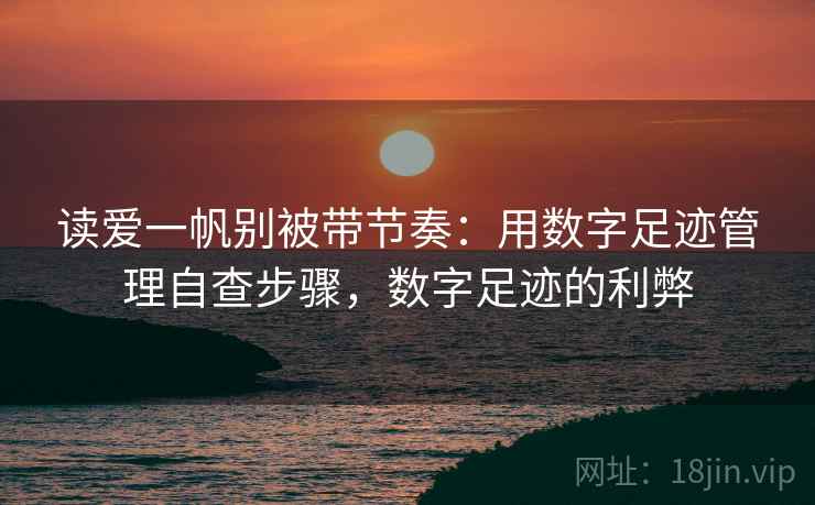 读爱一帆别被带节奏：用数字足迹管理自查步骤，数字足迹的利弊