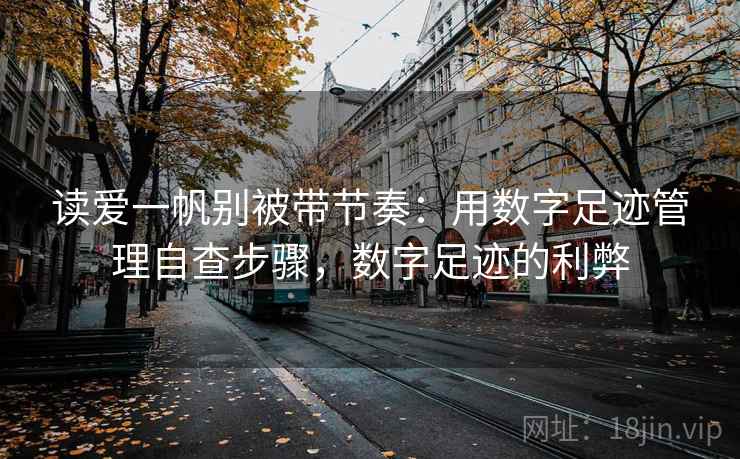 读爱一帆别被带节奏：用数字足迹管理自查步骤，数字足迹的利弊